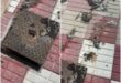 Sewage storm: Expats outraged as heavy rain forces human waste onto their street