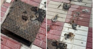 Sewage storm: Expats outraged as heavy rain forces human waste onto their street