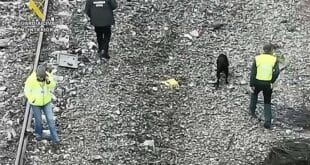 Search for bodies inside Adamuz trains is over: police and four dogs now comb tracks and forest
