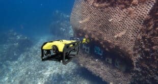 Marina of Marbella installs six artificial reefs watched over by underwater drones