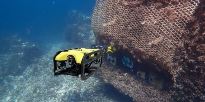 Marina of Marbella installs six artificial reefs watched over by underwater drones