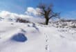 Could it snow in Costa del Sol on the day of the Kings?