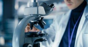 Everyone’s talking about Greenland