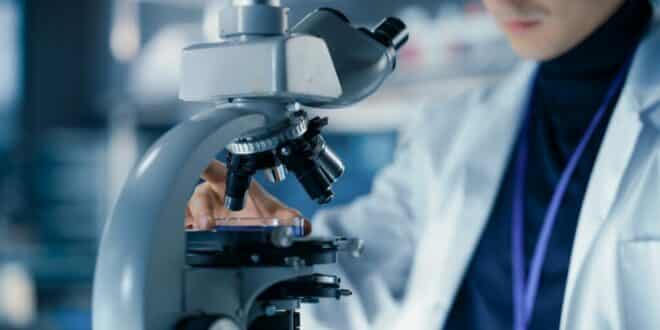 Everyone’s talking about Greenland