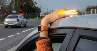 Drivers will have 'reasonable period' to get now-mandatory V-16 light - as new stats show Spain registers over a thousand traffic deaths each year