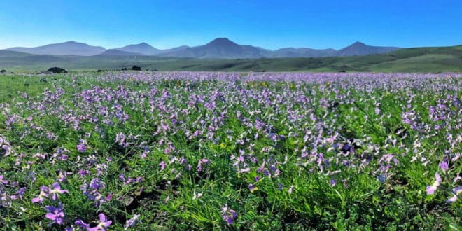 Weather ahead: Sun comes out in Spain as storm fronts move to Northern Europe