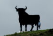 Torreblanca’s bull – The last remaining symbol of true Spain