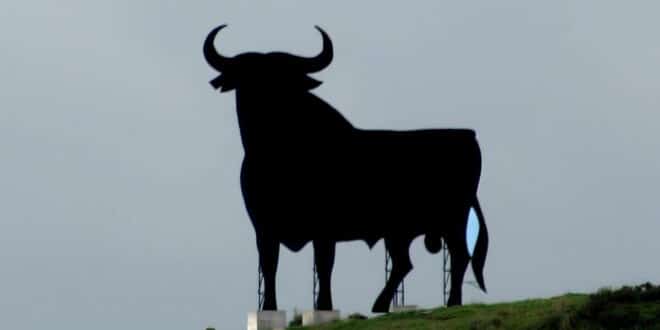 Torreblanca’s bull – The last remaining symbol of true Spain