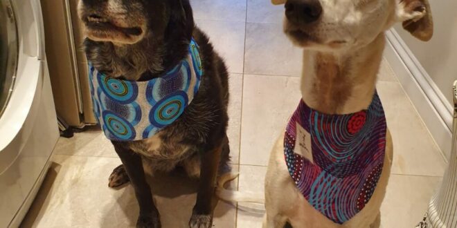 Need house-sitters for your pets? Try HouseSitMatch!