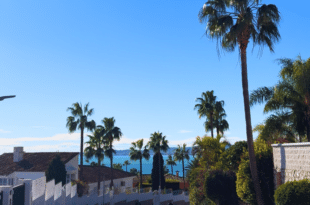 When the sun returns, life wakes up again