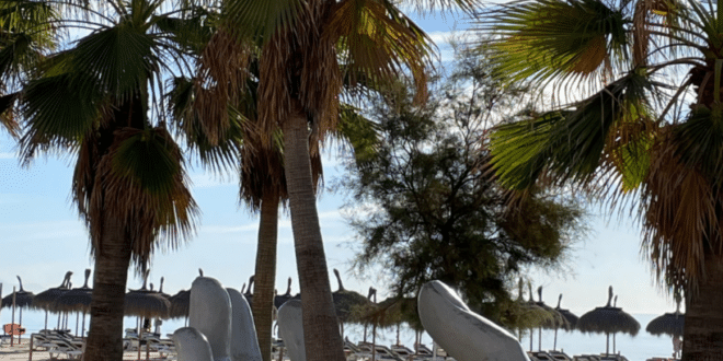 Spring is arriving and your daily rhythm is about to change