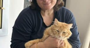 Save money on pet care this holiday season with house-sitting