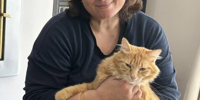 Save money on pet care this holiday season with house-sitting