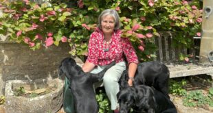 A pet is a treasure, a good pet-sitter is priceless