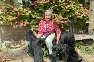 A pet is a treasure, a good pet-sitter is priceless