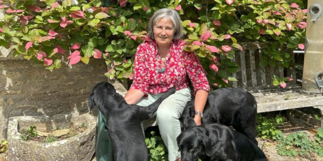 A pet is a treasure, a good pet-sitter is priceless