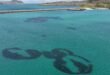 Strange ‘fairy circles’ spotted off Scotland – But scientists fear they could disappear