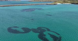 Strange ‘fairy circles’ spotted off Scotland – But scientists fear they could disappear