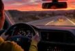 Animals on the Road: A Risk Many Drivers Underestimate