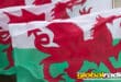 Saint David’s Day Celebration 2026