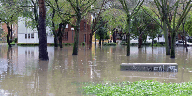 More than 900 have been evacuated in Cádiz as flood risk rises