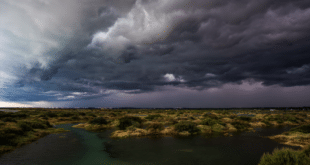 Spain records January as one of darkest in decades