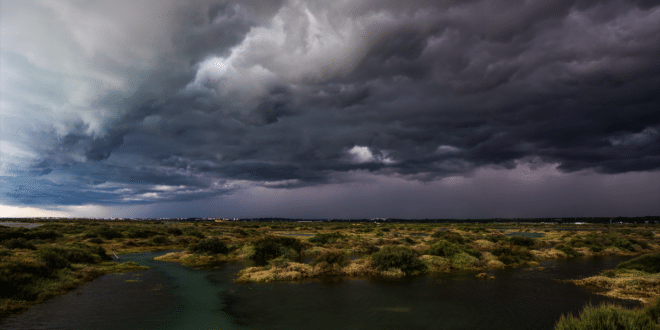 Spain records January as one of darkest in decades