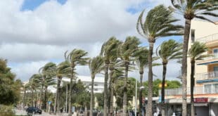 Castellón wind speeds hit 172 km/h after AEMET forecast 100 km/h: What happened in Spain’s latest storm