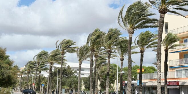 Castellón wind speeds hit 172 km/h after AEMET forecast 100 km/h: What happened in Spain’s latest storm