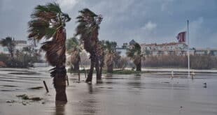 Storm Pedro set to batter Spain with 110km/h winds and snow down to 700 metres