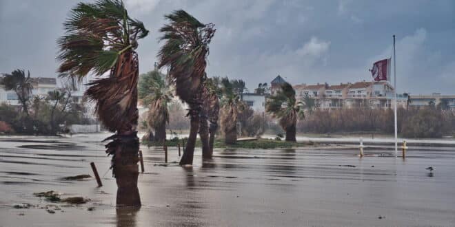 Storm Pedro set to batter Spain with 110km/h winds and snow down to 700 metres