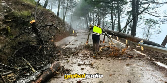 Costa Del Sol Storm Repairs Will Cost 255 Million Euros