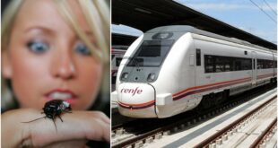 Malaga train line facing cockroach infestation