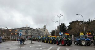 EXPLAINER: Why are Spanish farmers so against an EU trade deal with South American countries - and how will it affect you?
