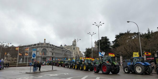 EXPLAINER: Why are Spanish farmers so against an EU trade deal with South American countries - and how will it affect you?