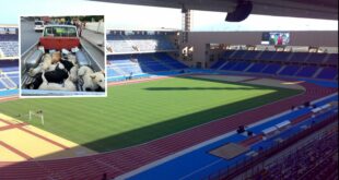 Anger boils over as Spain’s 2030 World Cup co-hosts accused of ‘preparing massacre of three million stray dogs’ before tournament starts