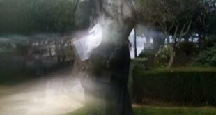 A mysterious joker calling himself the ‘Son of Cervantes’ is leaving bizarre anti-foreigner poems on statues around Malaga’s Ronda