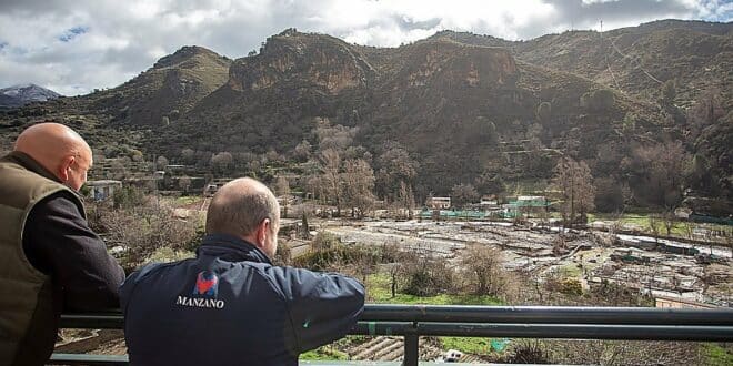 Dozens of animals dead and farmhouses buried by mud in Granada storms