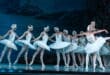 Swan Lake ballet returns to TAF in Estepona