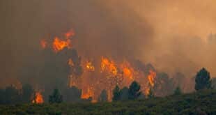 EU launches new 300-firefighter force for increasingly widespread wildfires