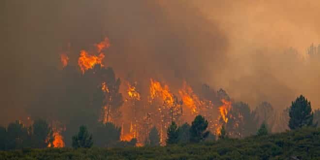 EU launches new 300-firefighter force for increasingly widespread wildfires