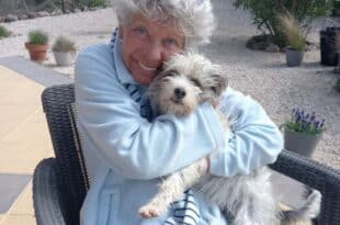 Find pet-sitters who love pets to care for yours