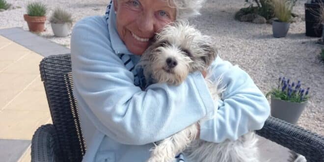 Find pet-sitters who love pets to care for yours