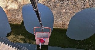 Almuñécar launches mosquito control programme to combat West Nile Fever