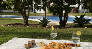 Why you feel out of energy: And what your day is missing