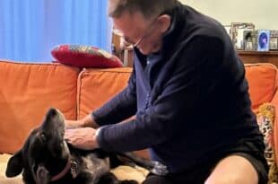 Find pet-sitters to care for your pets – Try HouseSitMatch