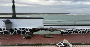 300+ incidents and emergency activation: What Storm Therese warning means for residents and expats