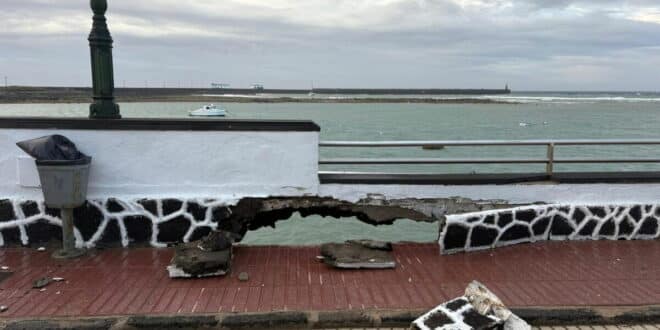 300+ incidents and emergency activation: What Storm Therese warning means for residents and expats