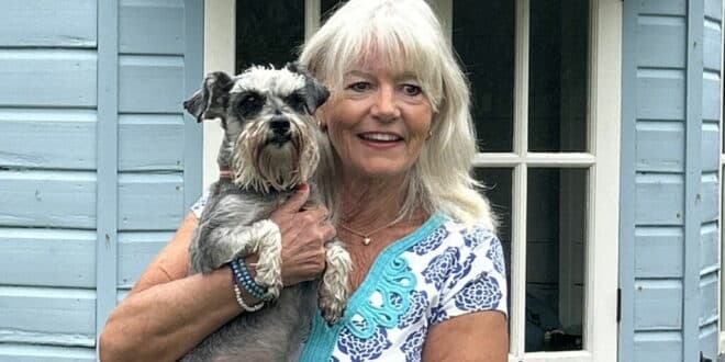 How do you find house- and pet-sitters? Check reviews