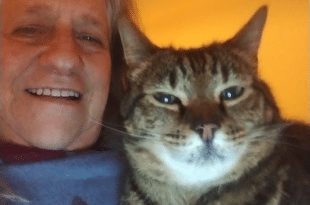 This pet-sitter loves cats, always choosing a cat-sit first